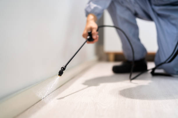 Certified termite inspector examining foundation in Jacinto City