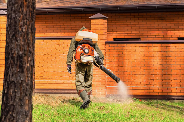 Bed Bug Clearance Verification and Documentation in Jacinto City